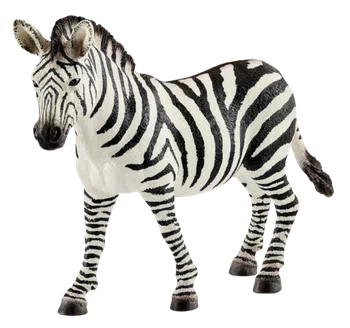 Wild animals
